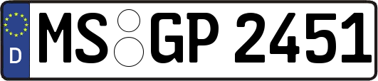 MS-GP2451