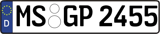 MS-GP2455