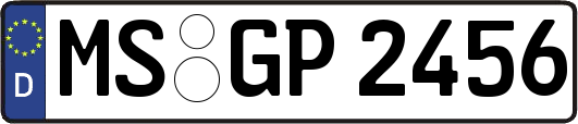 MS-GP2456