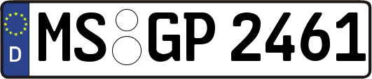 MS-GP2461