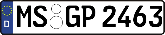 MS-GP2463