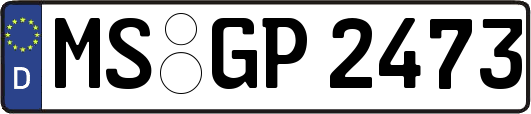 MS-GP2473