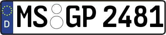 MS-GP2481