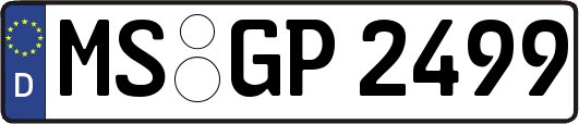 MS-GP2499