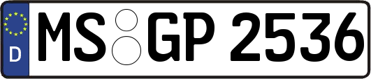 MS-GP2536