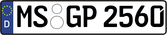 MS-GP2560