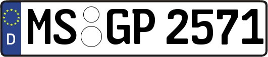 MS-GP2571