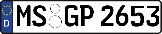MS-GP2653