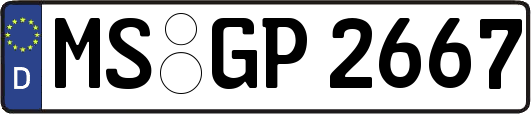MS-GP2667