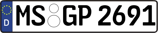 MS-GP2691