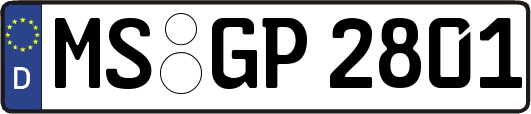 MS-GP2801