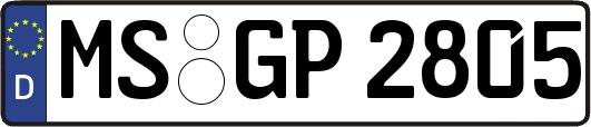 MS-GP2805