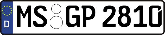 MS-GP2810