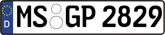MS-GP2829