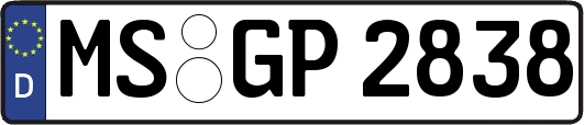 MS-GP2838