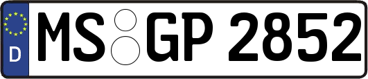 MS-GP2852
