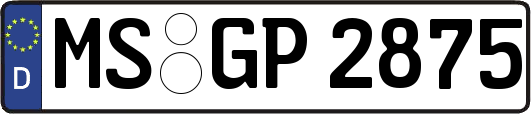 MS-GP2875