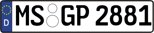MS-GP2881