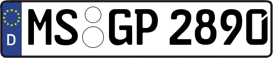 MS-GP2890