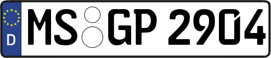 MS-GP2904