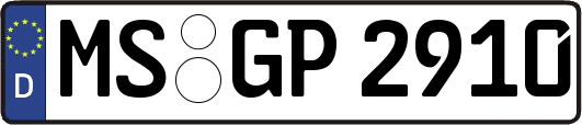 MS-GP2910