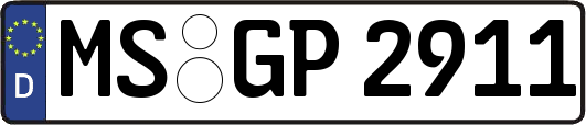 MS-GP2911