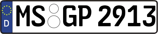 MS-GP2913