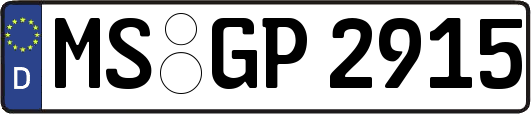 MS-GP2915