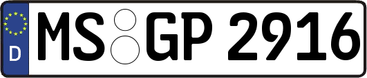 MS-GP2916