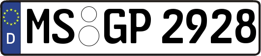MS-GP2928