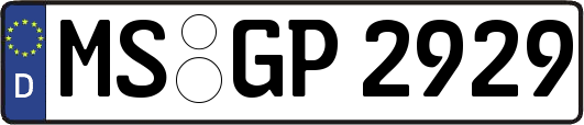 MS-GP2929