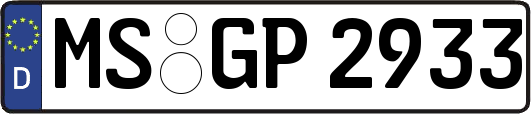 MS-GP2933
