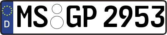 MS-GP2953