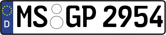 MS-GP2954