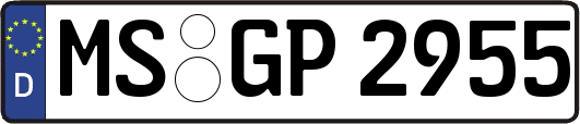MS-GP2955