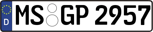 MS-GP2957