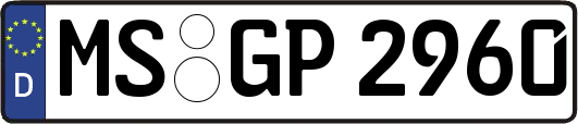 MS-GP2960