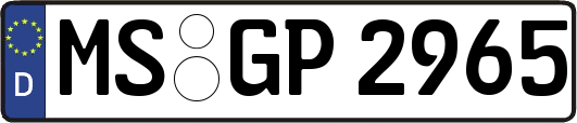 MS-GP2965
