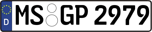MS-GP2979