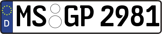 MS-GP2981