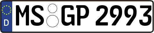 MS-GP2993