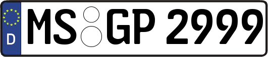 MS-GP2999
