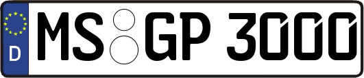 MS-GP3000