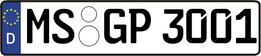 MS-GP3001