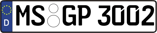 MS-GP3002