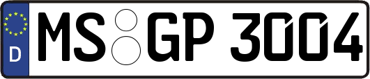MS-GP3004
