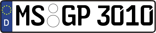 MS-GP3010