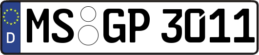 MS-GP3011