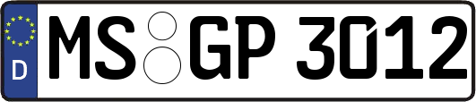 MS-GP3012