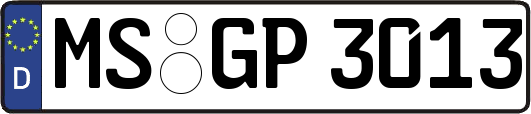 MS-GP3013